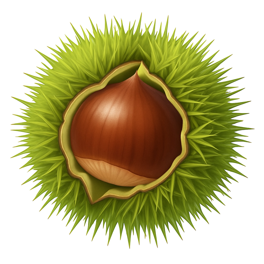 毬栗（緑）のイラスト素材(透過PNG/食べものカテゴリ)