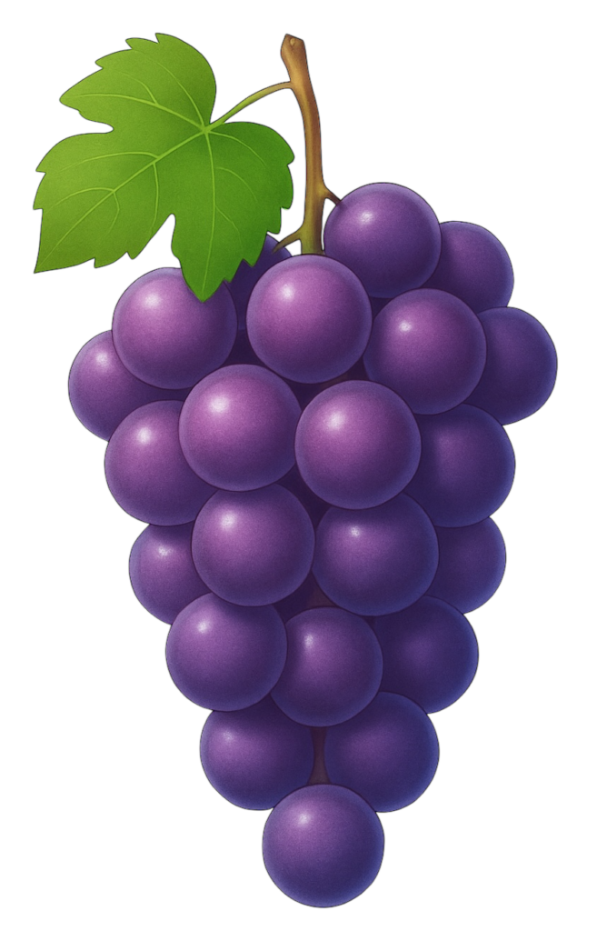 ブドウのイラスト素材(透過PNG/食べものカテゴリ)