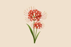 彼岸花のイラスト素材/アイキャッチ画像