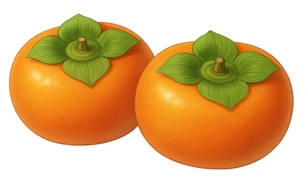 柿のイラスト素材(透過PNG/食べものカテゴリ)